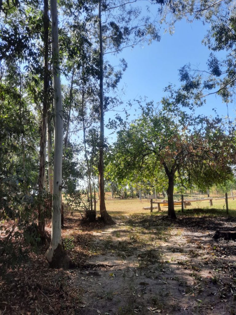 Lugar donde la Administración de Flora y Fauna puso en libertad a las aves secuestradas