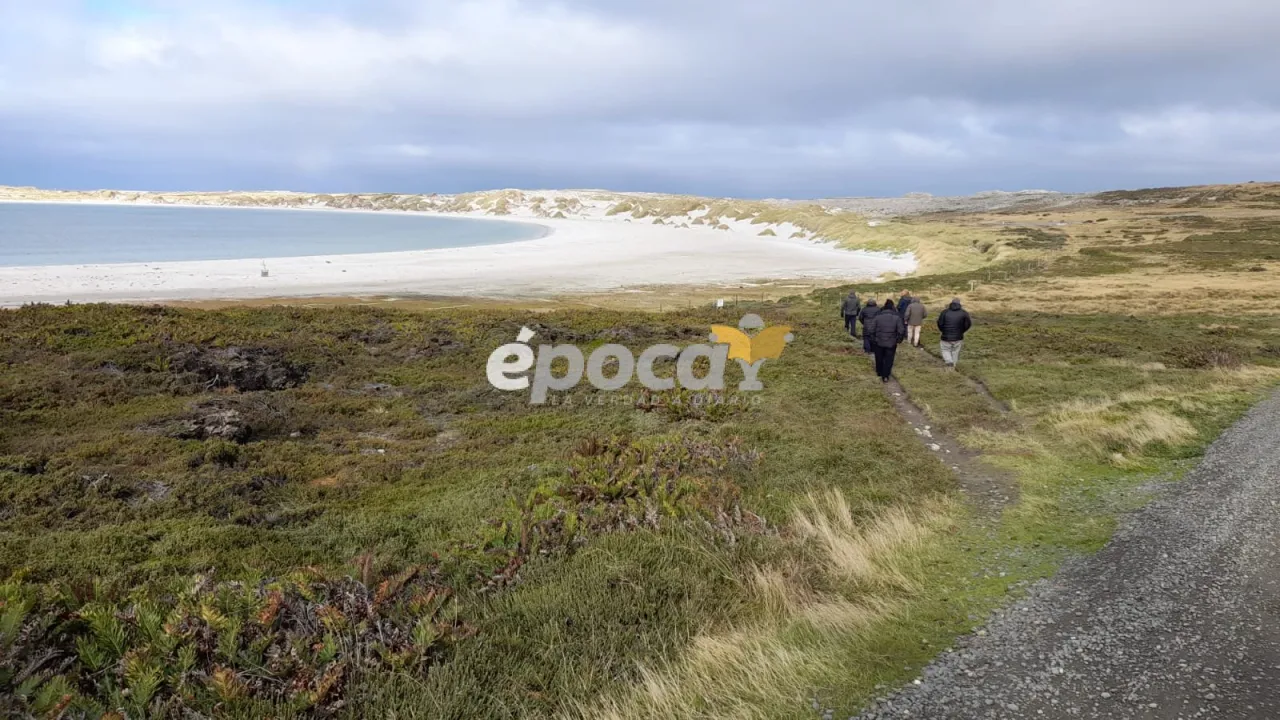 WhatsApp Image 2025-04-14 at 21.55.56.jpeg