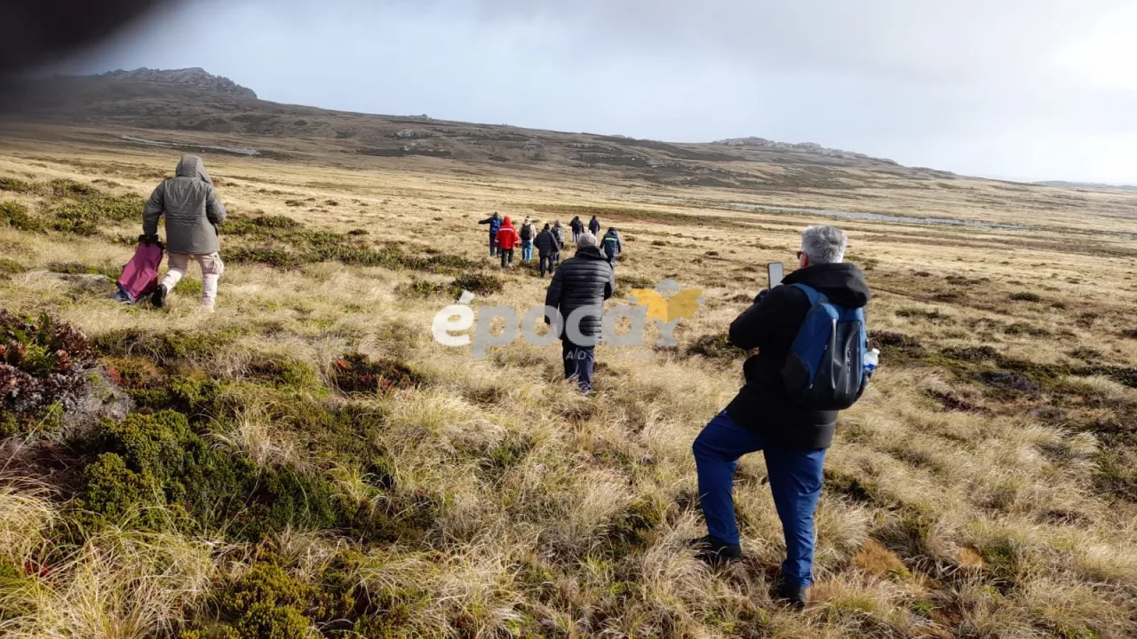 WhatsApp Image 2025-04-14 at 21.55.59 (1).jpeg