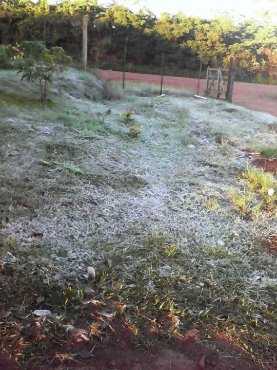 WhatsApp Image 2025-06-24 at 08.50.53.jpeg